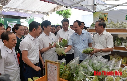 Trưng bày, giới thiệu sản phẩm nông sản, thực phẩm an toàn tỉnh Thanh Hóa năm 2019