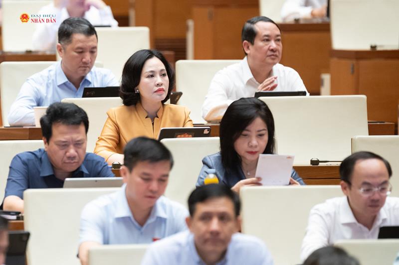 Các đại biểu tham dự phiên thảo luận