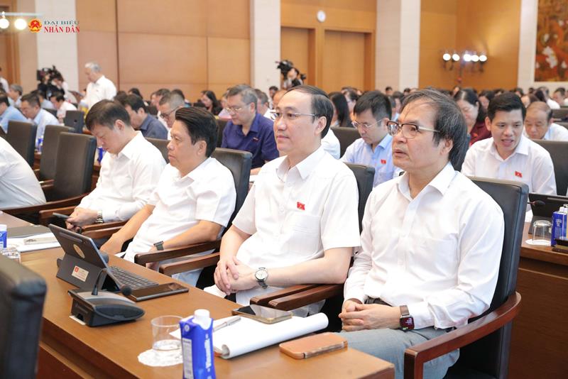 Các đại biểu tham dự hội nghị