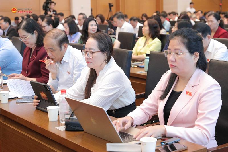 Các đại biểu tham dự hội nghị