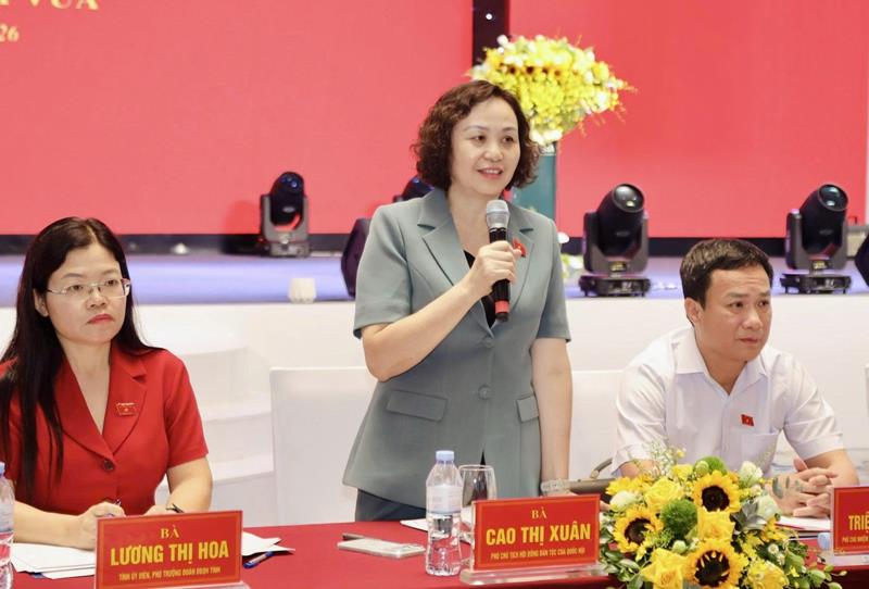 Phó Chủ tịch Hội đồng Dân tộc của Quốc hội Cao Thị Xuân phát biểu kết luận hội nghị.