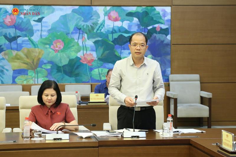 Phó Chủ nhiệm Ủy ban Quốc phòng, An ninh và Đối ngoại Đinh Công Sỹ phát biểu