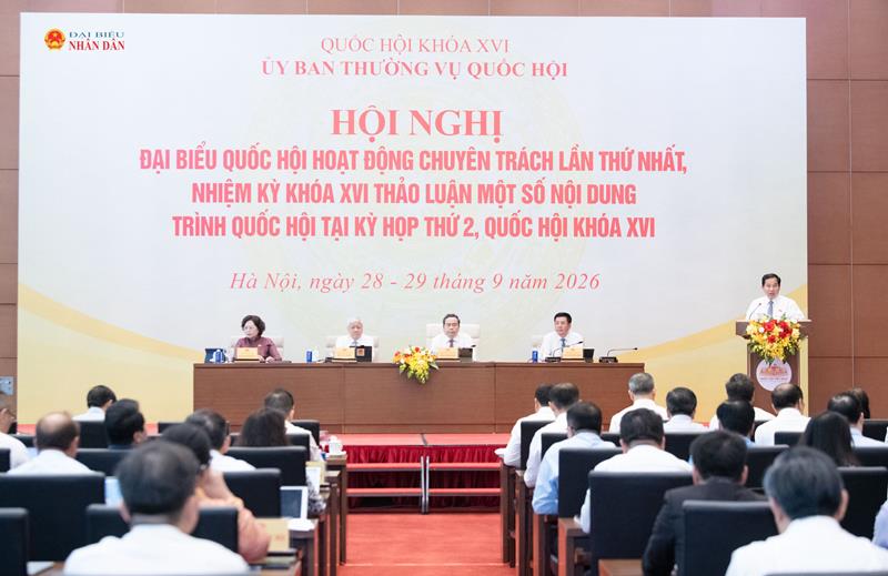 Quang cảnh hổi nghị