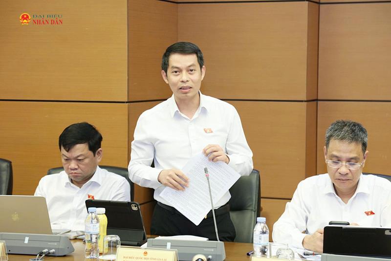 ĐBQH Phạm Ngọc Lâm (Gia Lai) phát biểu thảo luận