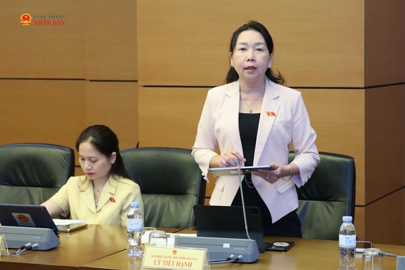 ĐBQH Lý Tiết Hạnh (Gia Lai) phát biểu thảo luận tổ