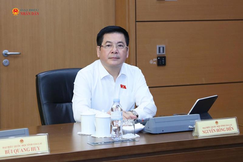 Phó Chủ tịch Quốc hội Nguyễn Hồng Diên tham dự thảo luận tổ