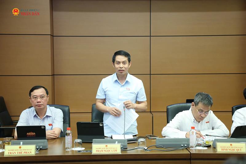 ĐBQH Phạm Ngọc Lâm (Gia Lai) phát biểu thảo luận tổ