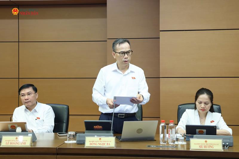 ĐBQH Đồng Ngọc Ba (Gia Lai) phát biểu tại tổ