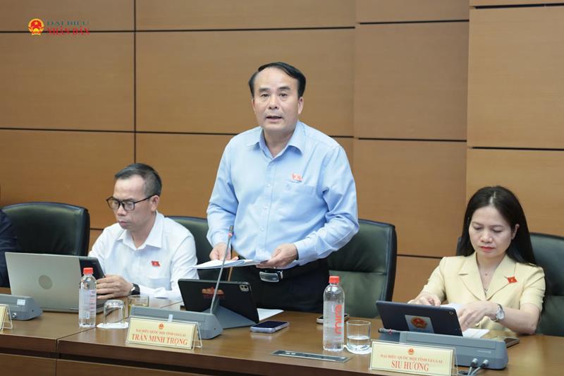 ĐBQH Trần Minh Trọng (Gia Lai) phát biểu thảo luận tại tổ