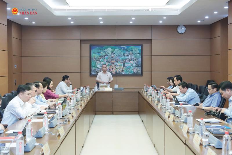 Toàn cảnh thảo luận tổ