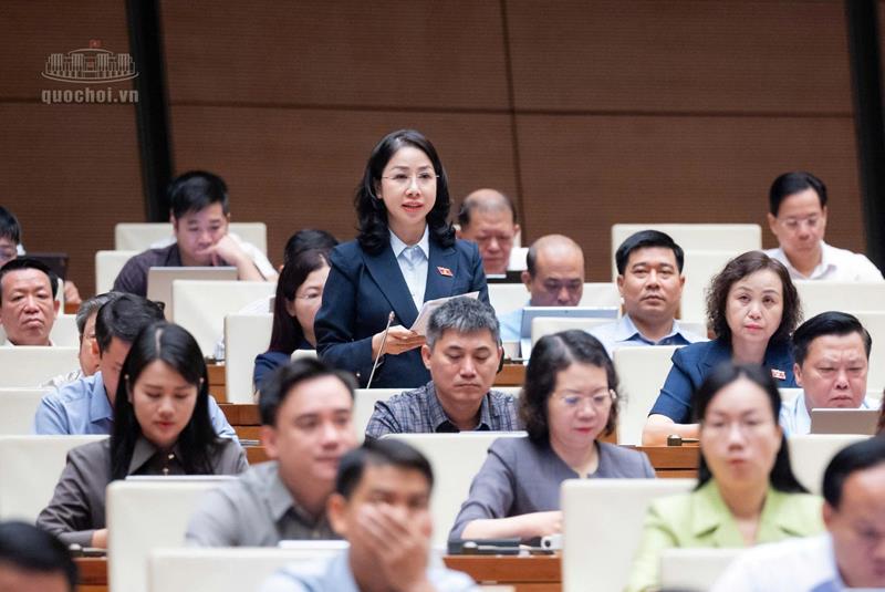 Đại biểu Quốc hội Phan Thị Thùy Linh phát biểu tại phiên thảo luận